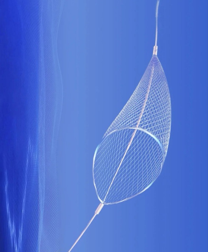 Vascular filter